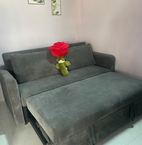 Sofa giường kéo 1