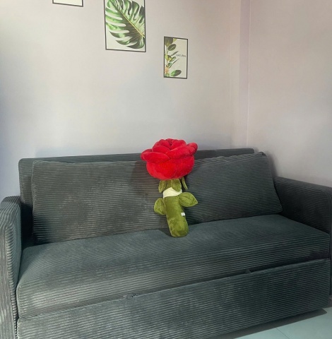 Sofa giường kéo 1